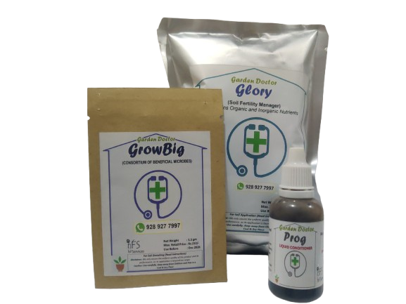Combo 2 Big: Glory, GrowBig & Prog (for up to 36 plants)